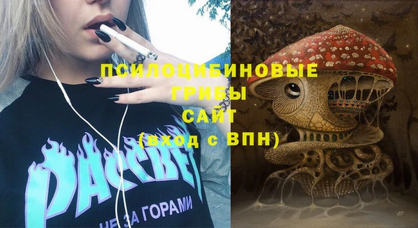 прущий лед Бронницы