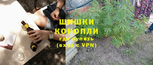 спайс Бородино