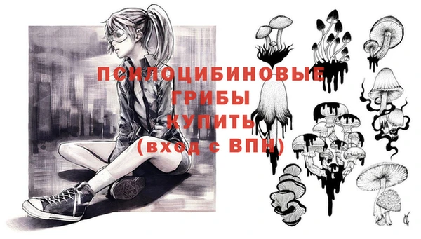 спайс Бородино