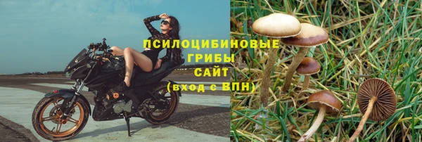 марки lsd Бугульма