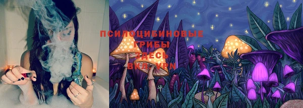 спайс Бородино